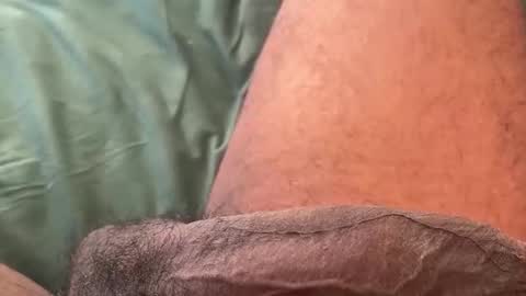 Bbc horsey online show from 11, 2, 2026