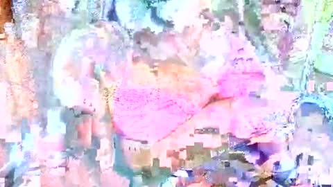 Snapshot of hot_baby_priya chatting on 12, 10, 2025 hot_baby_priya online show from 12, 10, 2025