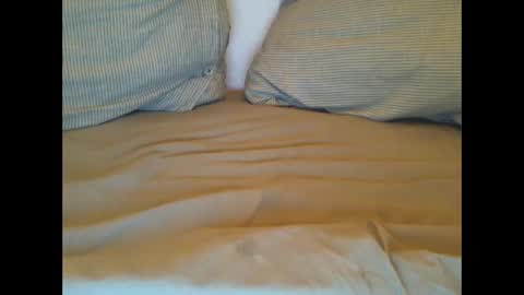 Lars online show from 1, 3, 2025