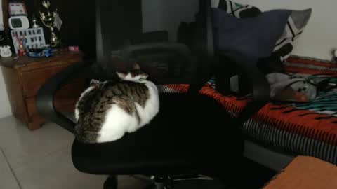 Hot and PowerHOPE U MISS ME online show from 21, 12, 2024