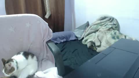 Hot and PowerHOPE U MISS ME online show from 14, 11, 2025