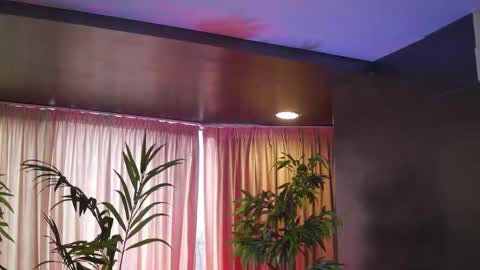 Anais online show from 15, 2, 2026