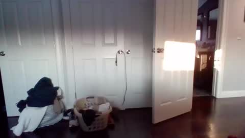 hotdog1124 online show from 11, 2, 2026