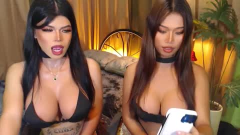 Snapshot of hotevatrans chatting on 29, 9, 2025 EVA online show from 29, 9, 2025