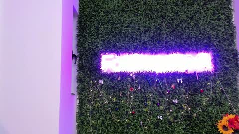 hotfallingdevil online show from 21, 12, 2025