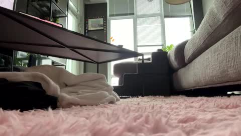 Snapshot of hotgirlbigbutt chatting on 23, 5, 2026 hotgirlbigbutt online show from 23, 5, 2026