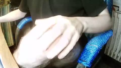 hotleopold online show from 6, 1, 2025