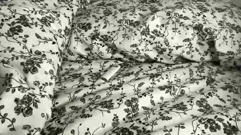 Annabelle online show from 21, 4, 2026