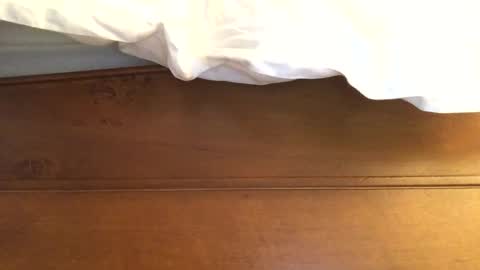 hotmuff99 online show from 11, 2, 2025