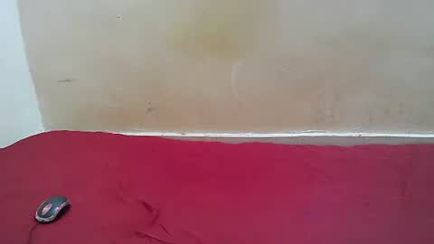 hotpussy1225 online show from 10, 11, 2025