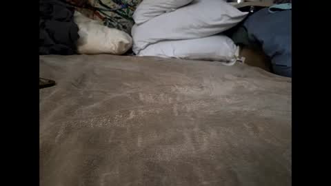 hotrox6942 online show from 27, 9, 2025