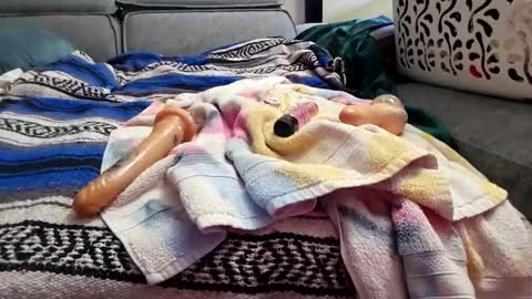 houdicky2 online show from 19, 9, 2025