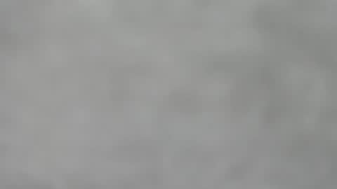 Slutty little female cat online show from 16, 11, 2025