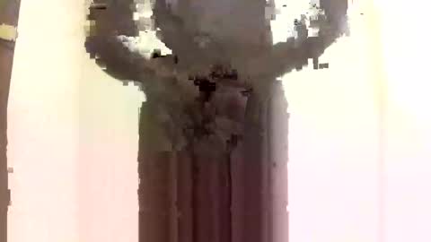 Snapshot of houssam211 chatting on 17, 9, 2025 houssam211 online show from 17, 9, 2025