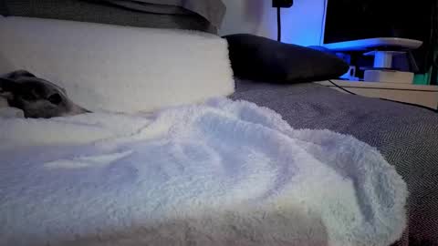 Snapshot of hugolandcam chatting on 14, 2, 2025 Hugo online show from 14, 2, 2025