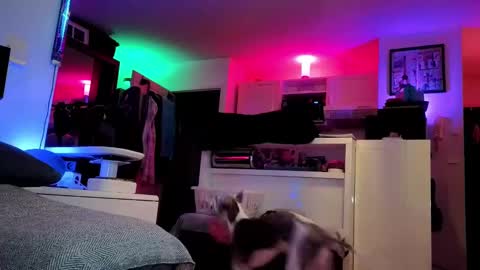 Snapshot of hugolandcam chatting on 25, 2, 2025 Hugo online show from 25, 2, 2025