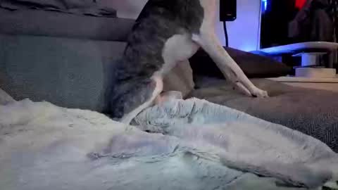 Snapshot of hugolandcam chatting on 10, 3, 2025 Hugo online show from 10, 3, 2025