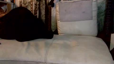 huippari online show from 8, 12, 2024