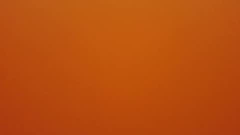 Snapshot of hundeleine chatting on 16, 12, 2025 hundeleine online show from 16, 12, 2025