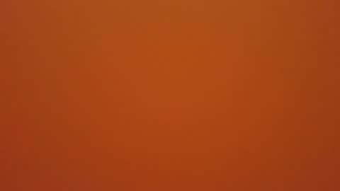 Snapshot of hundeleine chatting on 19, 12, 2025 hundeleine online show from 19, 12, 2025