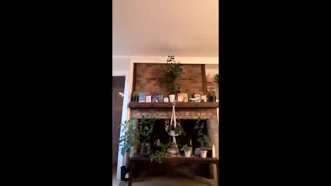 hungitalian40 online show from 15, 1, 2026