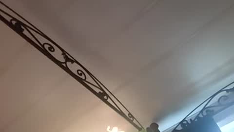 hungryforpussy1234567890 online show from 16, 12, 2024