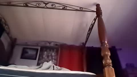 hungryforpussy1234567890 online show from 21, 12, 2024