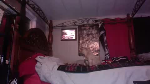 hungryforpussy1234567890 online show from 10, 1, 2025