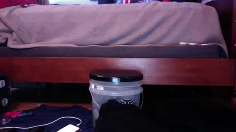 hungryforpussy1234567890 online show from 21, 1, 2025