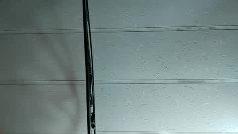 hungryforpussy1234567890 online show from 21, 1, 2025