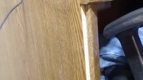 Snapshot of hungsofine chatting on 23, 12, 2024 hungsofine online show from 23, 12, 2024