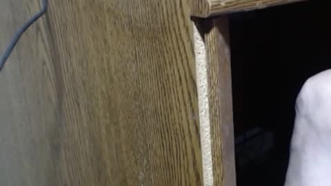 Snapshot of hungsofine chatting on 29, 12, 2024 hungsofine online show from 29, 12, 2024