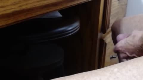 hungsofine online show from 11, 1, 2026