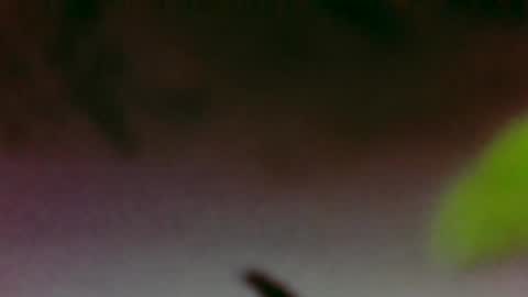 Snapshot of hungsubbb chatting on 26, 11, 2025 Boi online show from 26, 11, 2025