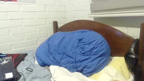 Rod online show from 2, 12, 2024