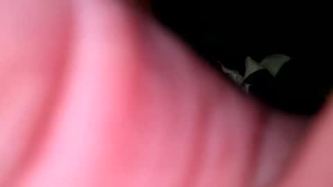 Snapshot of hunk1987_ chatting on 27, 4, 2026 hunk1987_ online show from 27, 4, 2026