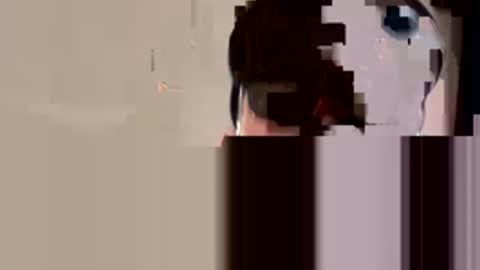 Snapshot of huntershard11997 chatting on 30, 11, 2025 huntershard11997 online show from 30, 11, 2025