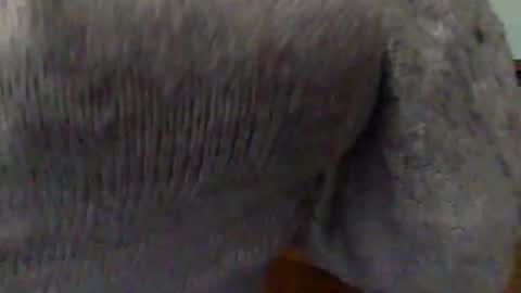 Goddess Hunyy online show from 1, 3, 2025