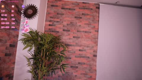 Lucy online show from 24, 1, 2025