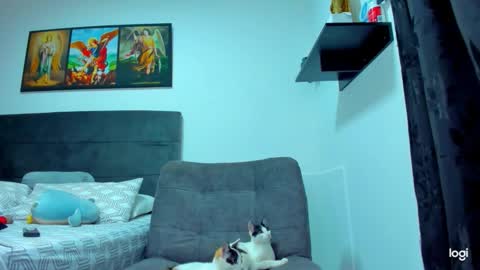 iam_your_fantasy online show from 1, 2, 2026