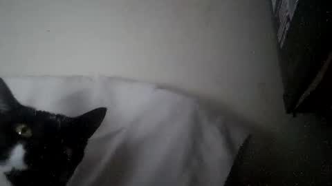 iamryan995442 online show from 7, 4, 2026