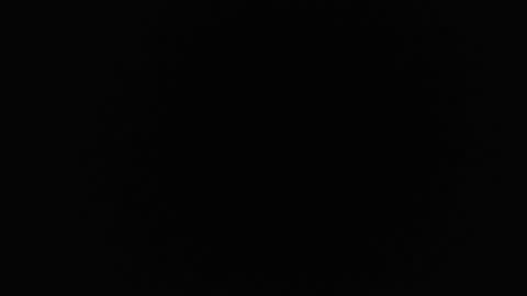 ice_y_abigail online show from 27, 9, 2025