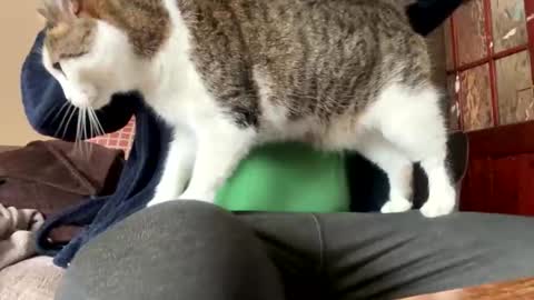 icums4u online show from 24, 3, 2026