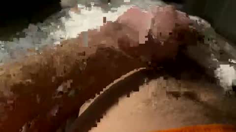 Tornado online show from 6, 2, 2026