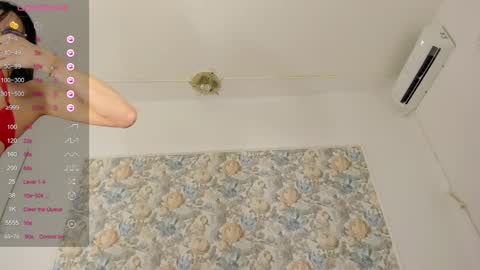 illegal_lorry online show from 19, 10, 2025