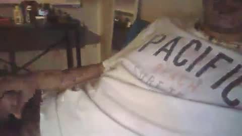 Snapshot of ilovecolombianas69 chatting on 24, 3, 2026 ilovecolombianas69 online show from 24, 3, 2026