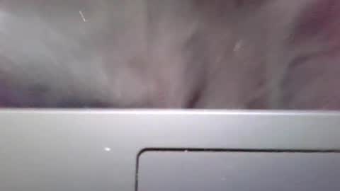 Snapshot of imstillstrokin chatting on 22, 10, 2025 imstillstrokin online show from 22, 10, 2025