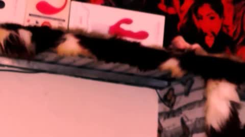 Snapshot of indian_dreamgirl chatting on 24, 11, 2025 Bella Ambrosia online show from 24, 11, 2025