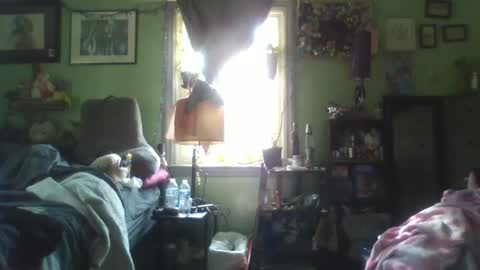 indigo_scorpio online show from 5, 2, 2025