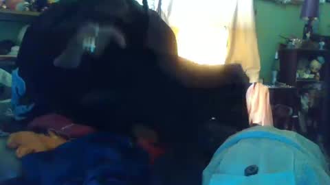 indigo_scorpio online show from 13, 10, 2025